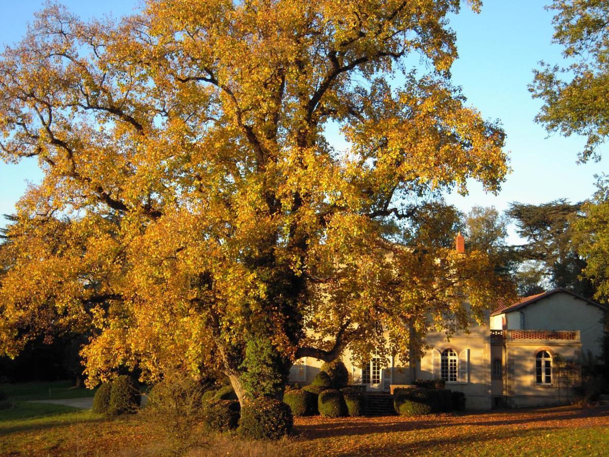 Вилла Domaine Des Roches Blanches Le Pin  Экстерьер фото
