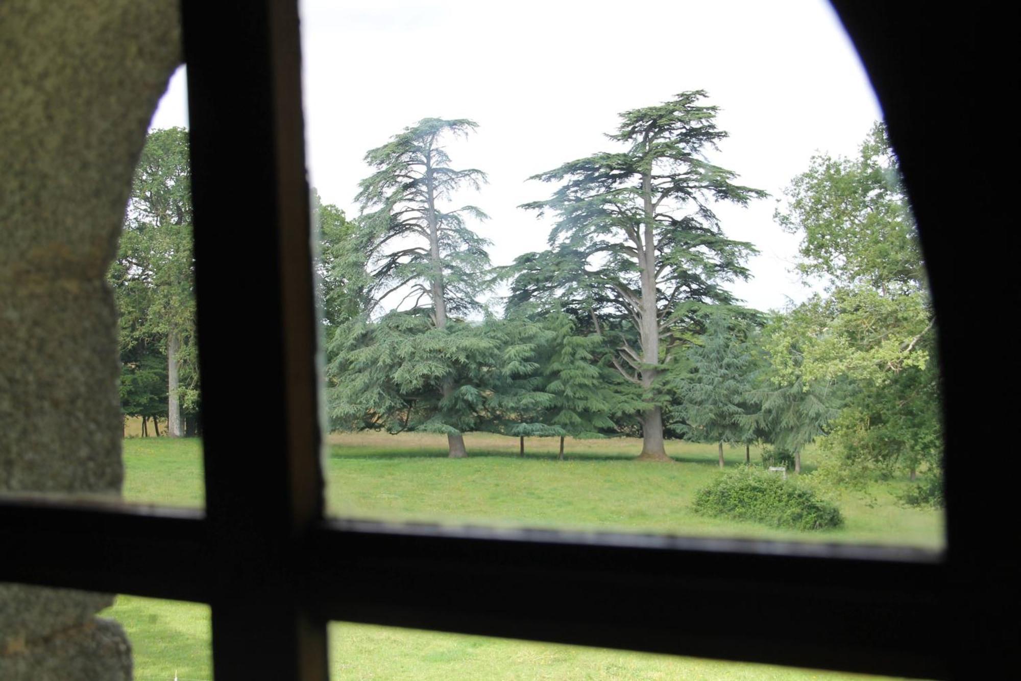 Вилла Domaine Des Roches Blanches Le Pin  Экстерьер фото