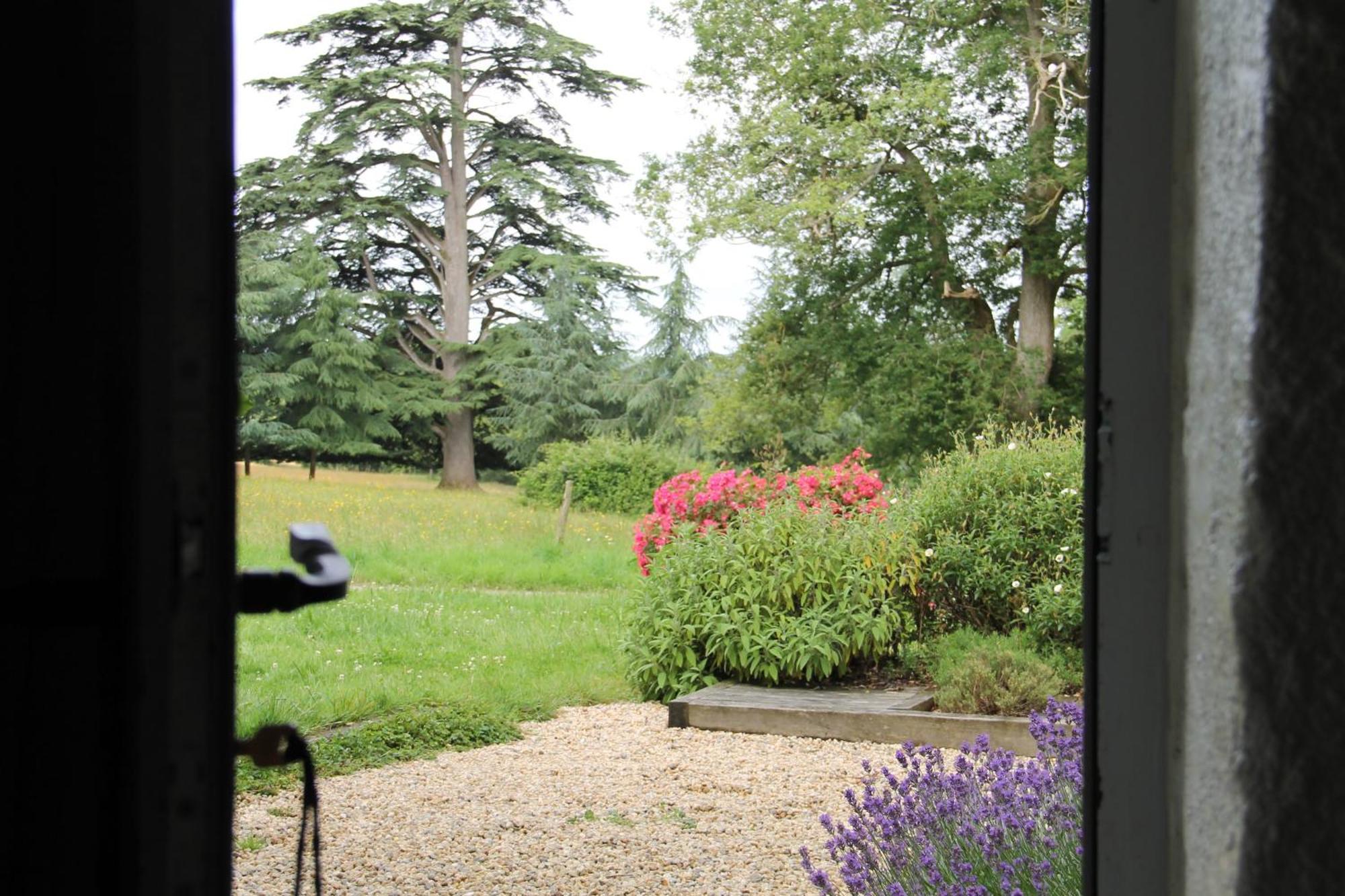Вилла Domaine Des Roches Blanches Le Pin  Экстерьер фото