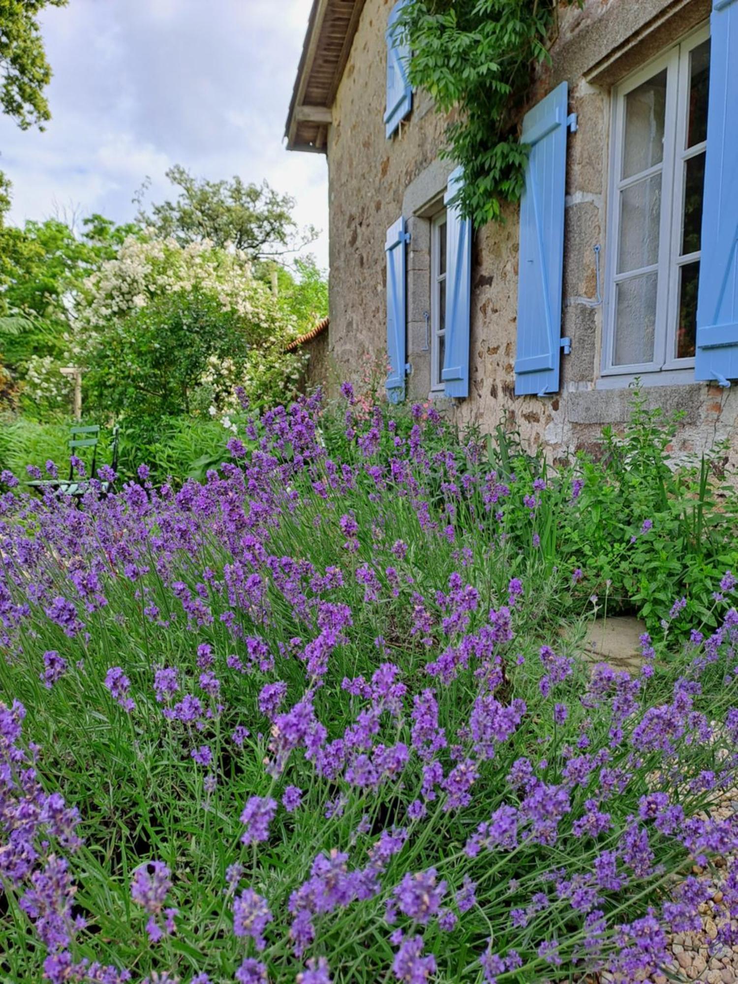 Вилла Domaine Des Roches Blanches Le Pin  Экстерьер фото
