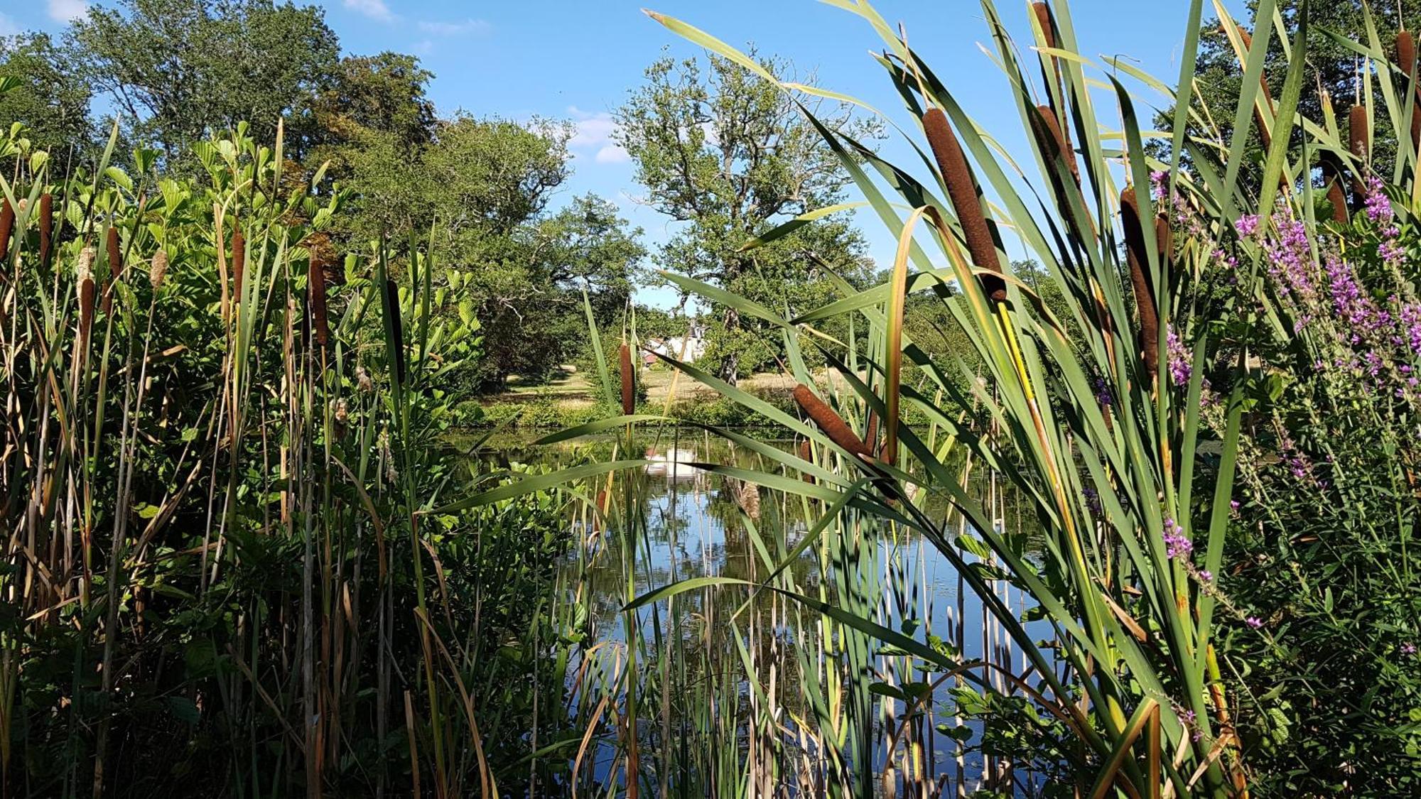 Вилла Domaine Des Roches Blanches Le Pin  Экстерьер фото